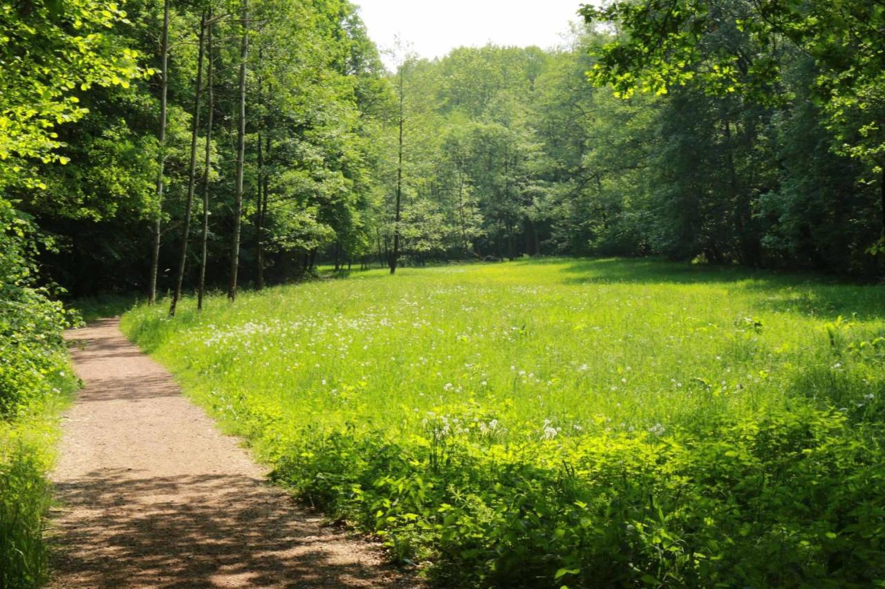 Konigsfeld  Biohof Buschmuehle 아파트 외부 사진