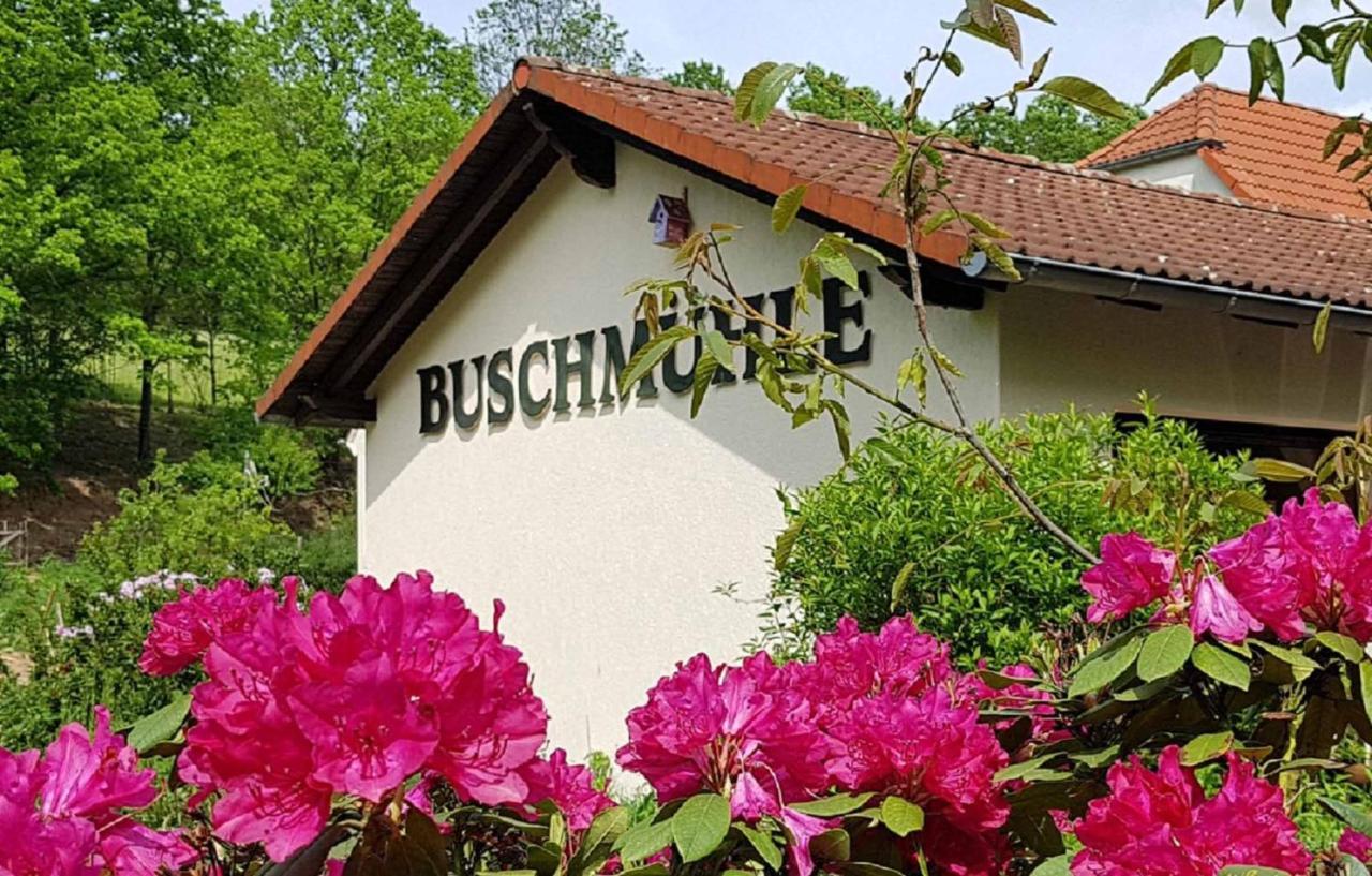 Konigsfeld  Biohof Buschmuehle 아파트 외부 사진